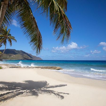 Carambola Beach Resort St. Croix, Us Virgin Islands Fountain Dış mekan fotoğraf