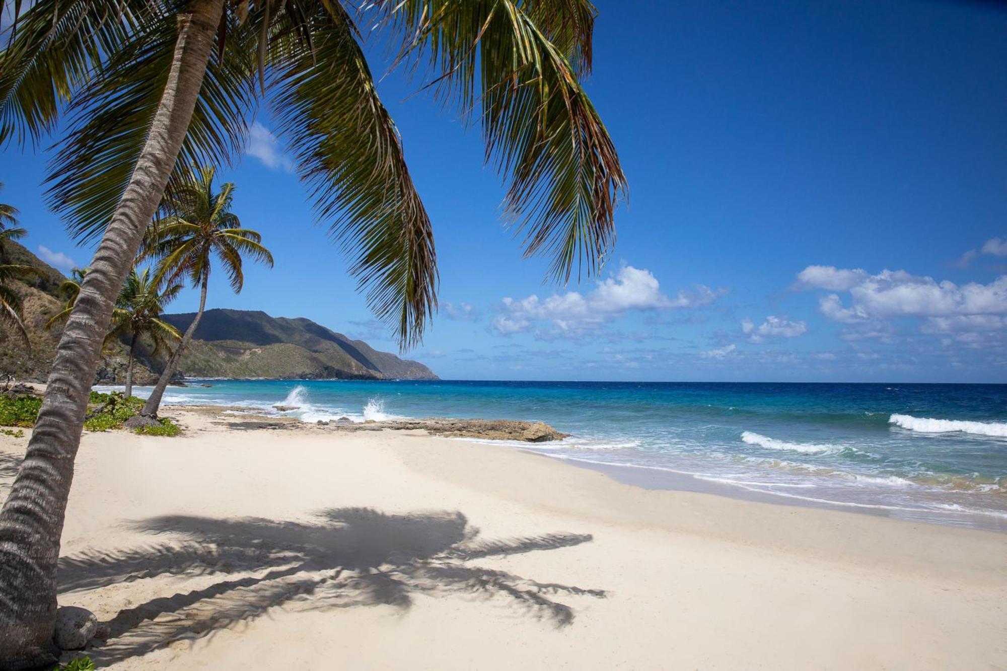 Carambola Beach Resort St. Croix, Us Virgin Islands Fountain Dış mekan fotoğraf